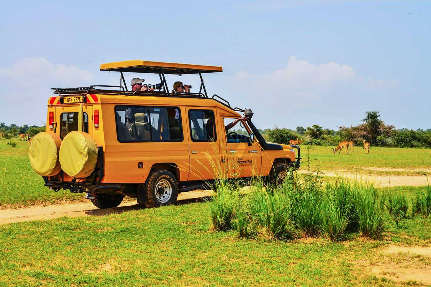 Wildlife on the Open Plains