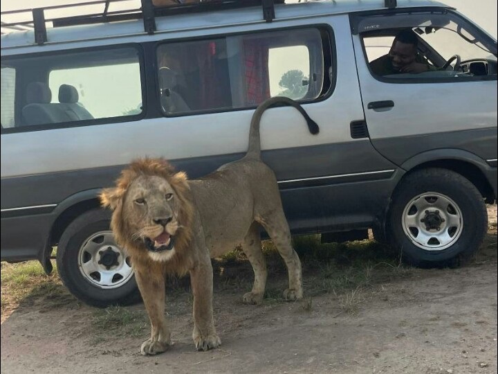 Wildlife safari photo 7