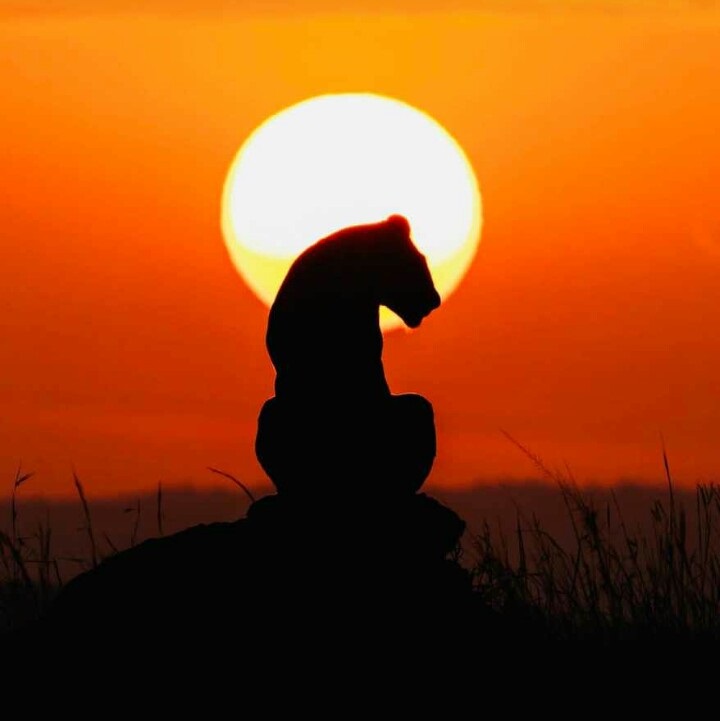Uganda landscape photo 1