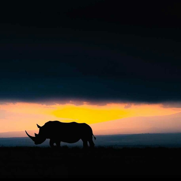 Uganda landscape photo 2