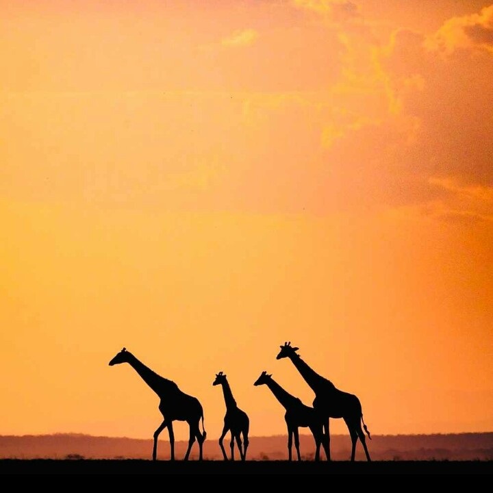 Uganda landscape photo 4