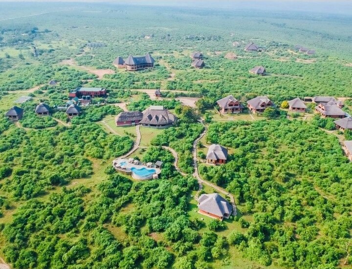 Tekisel Safaris gallery photo 5