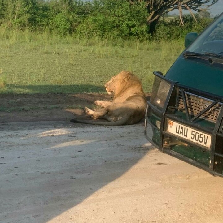 Tekisel Safaris Uganda 59